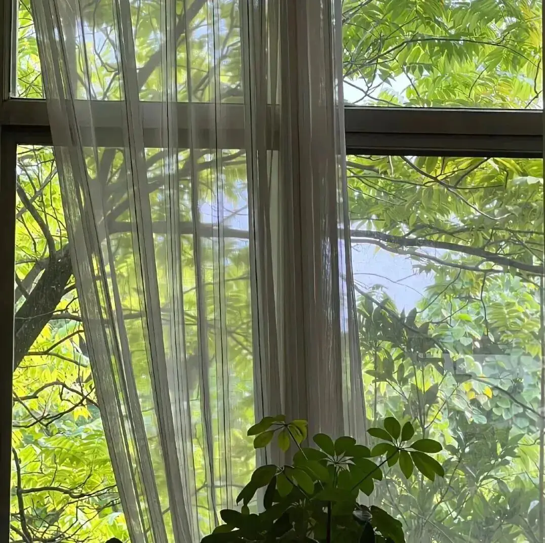 全国品茶地图与茶文化解析,茶韵千年里的地域密码