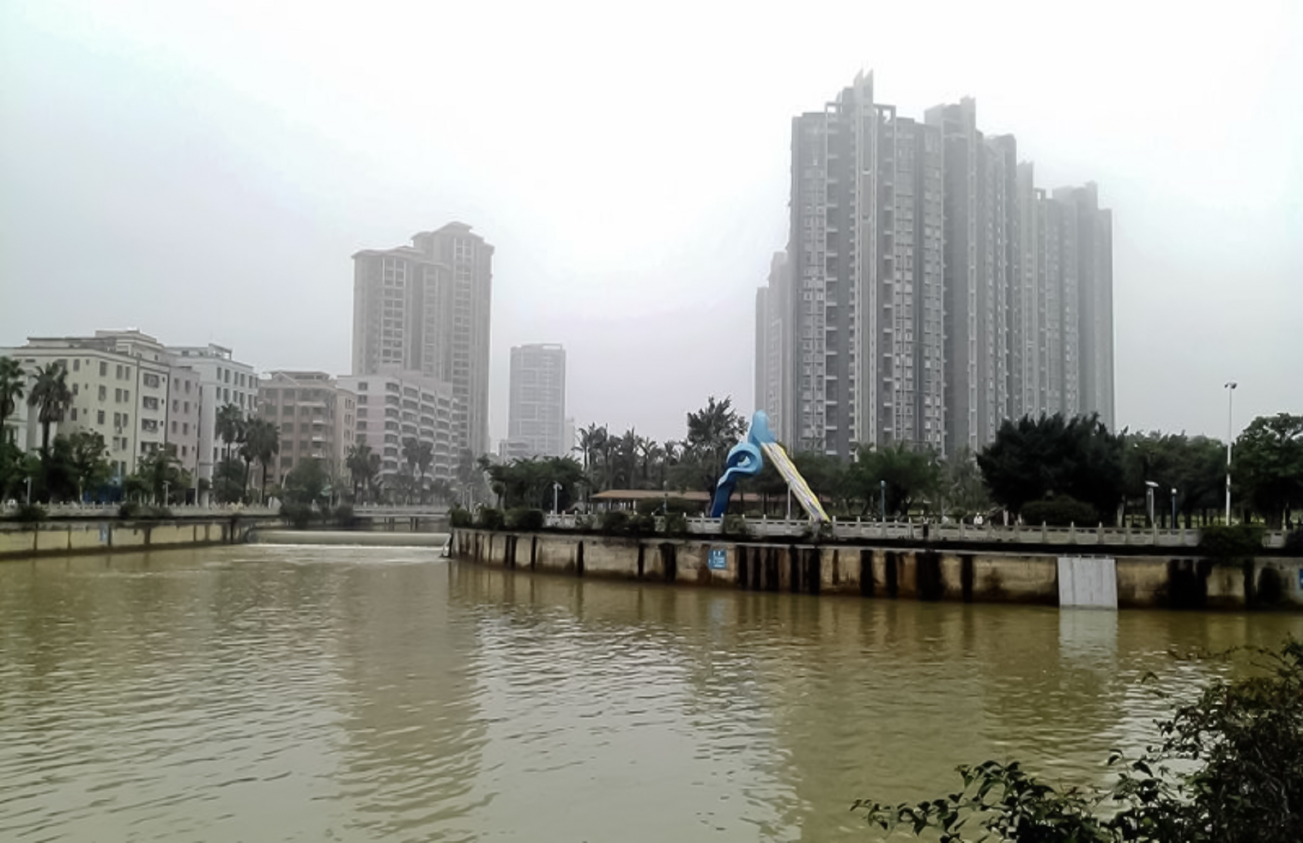 专家解读：闵行北桥鸡窝还有吗？如何找到安全可靠的闵行北桥鸡窝最新信息