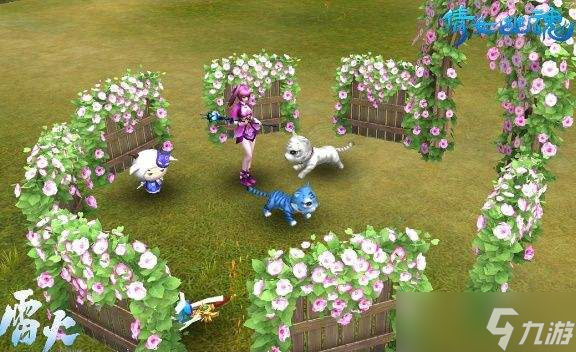 888元3小时人到付款实战技巧全解析详解