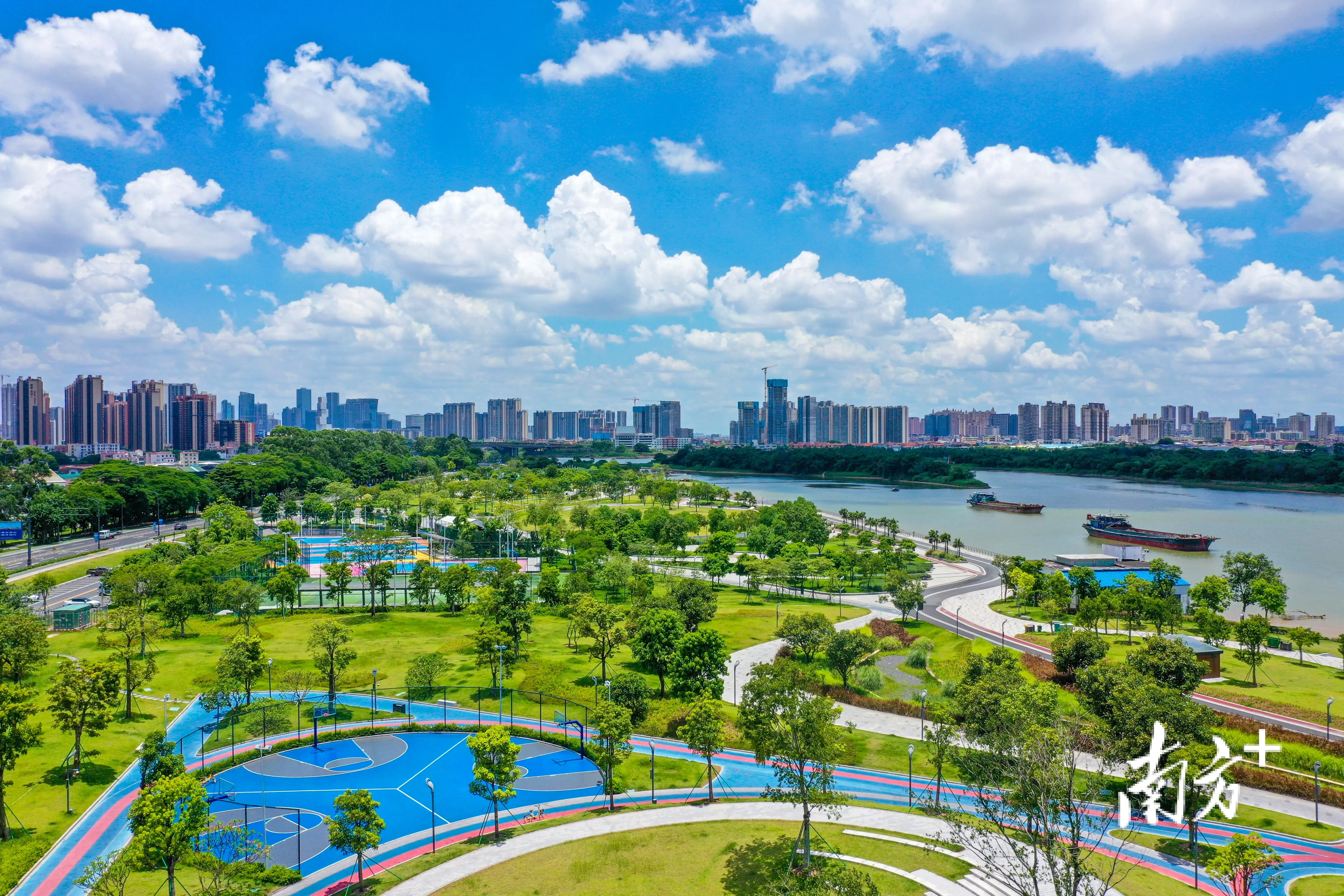 广佛中端品茶指南：从入门到行家的避坑手册