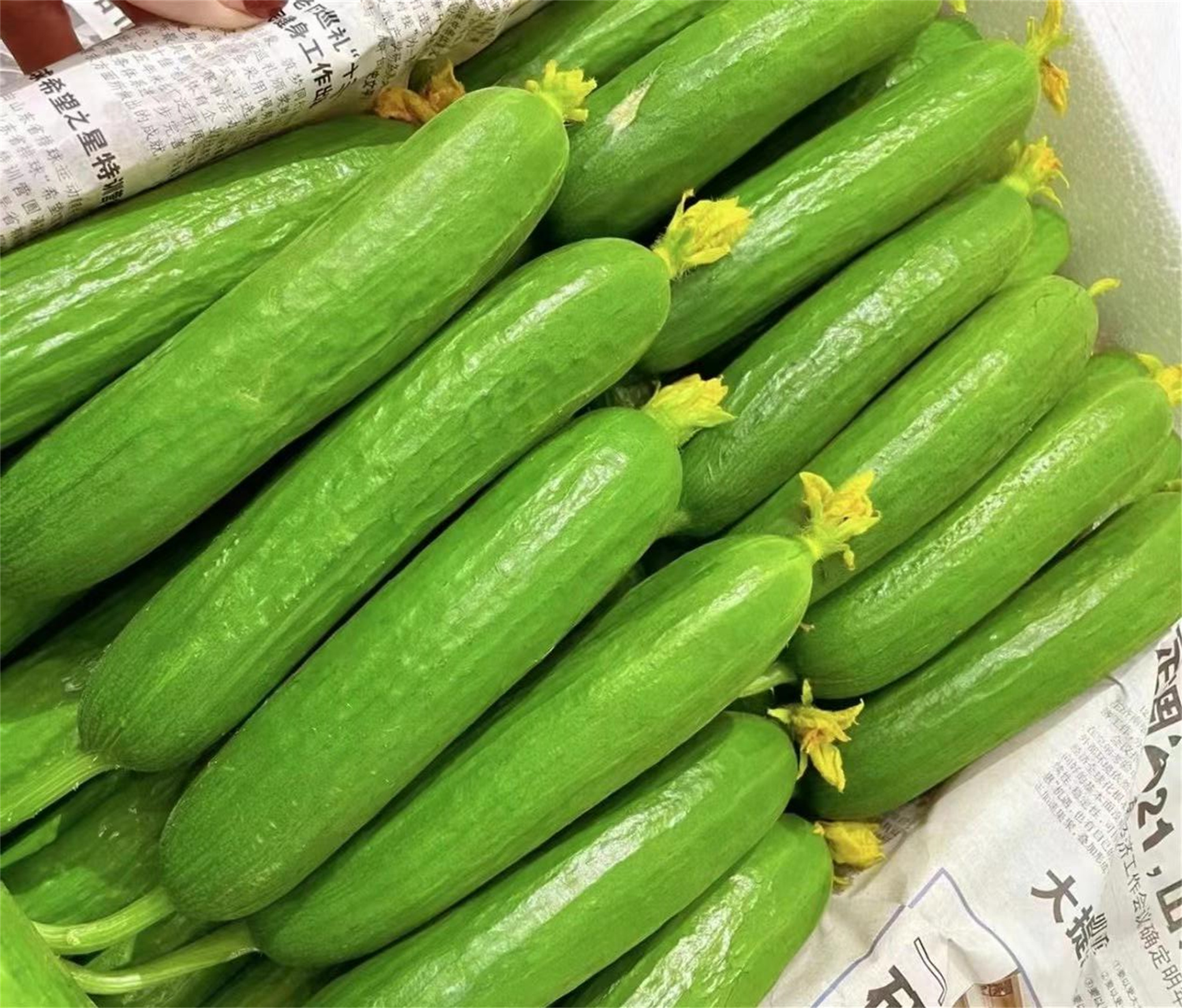 在附近寻找兴趣小组的实用攻略，黄瓜生活社区怎么玩不用愁