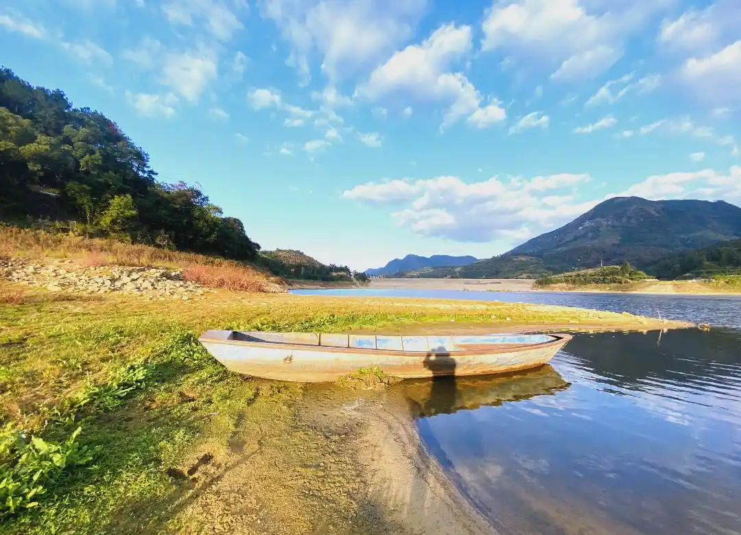 据消息透露，最新分析：大坪市场小巷子位置到底怎么找？当地人都不一定说得清