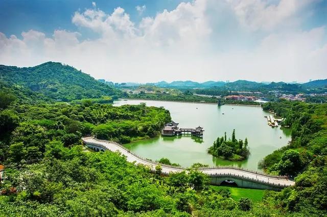 东莞特色服务的兴衰历程与演变