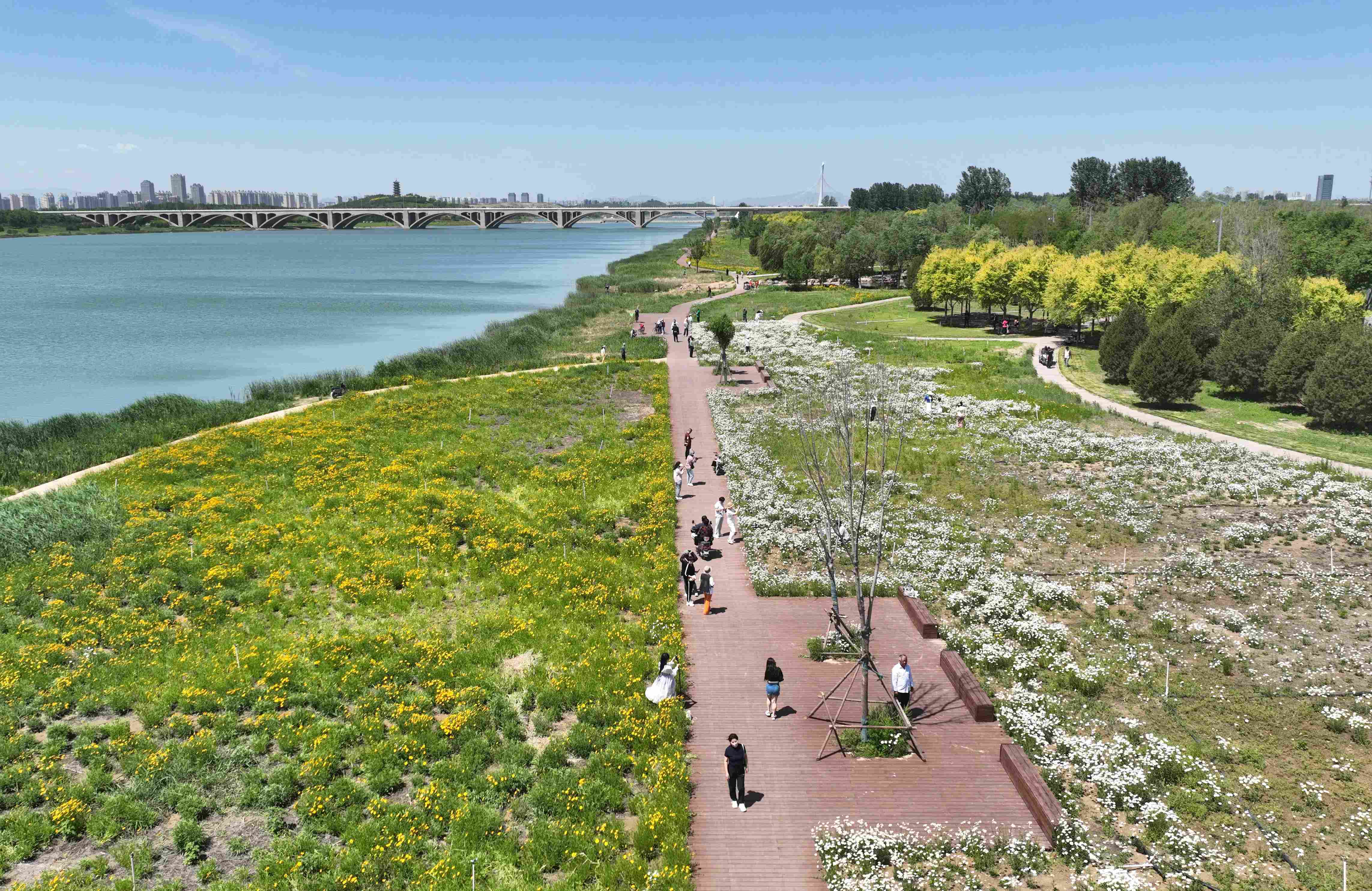 保定到北京K158次列车及广西来宾火车站交通信息解析