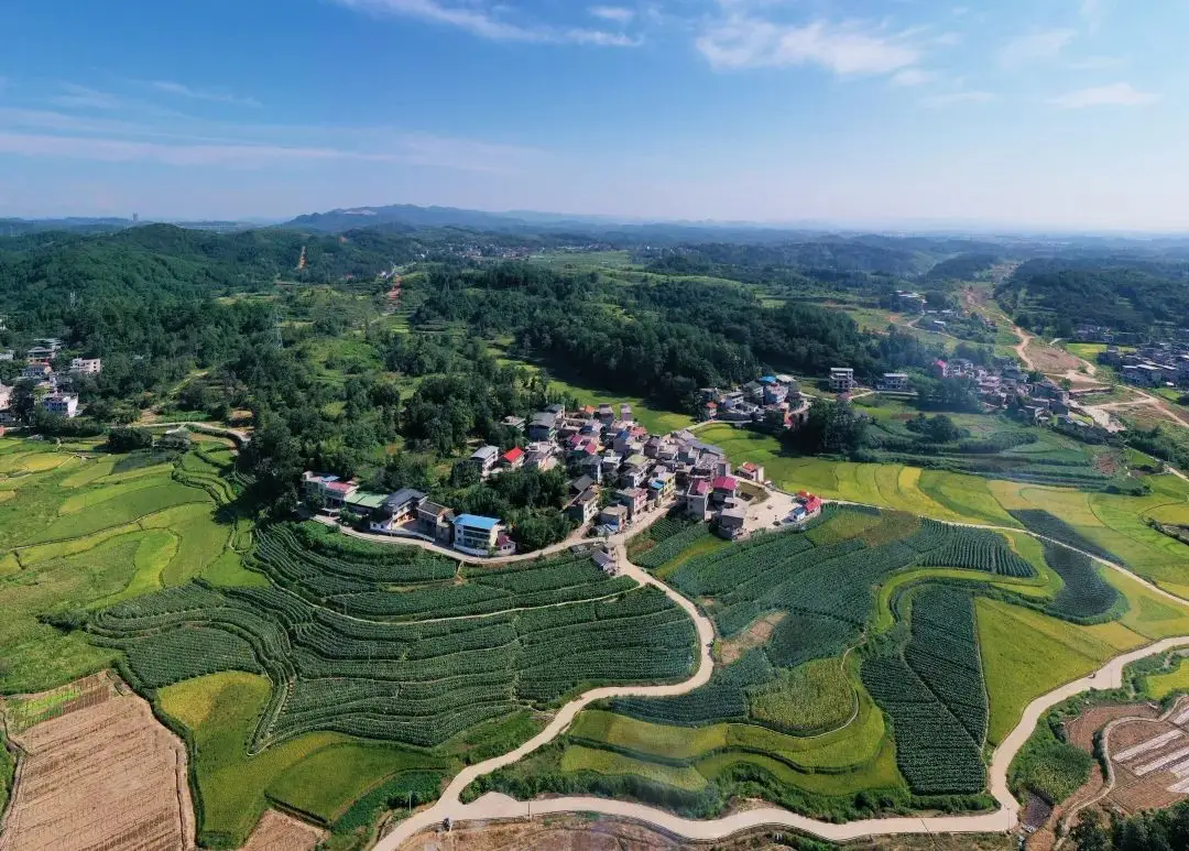 广州龙归夏良小巷子有什么秘密？