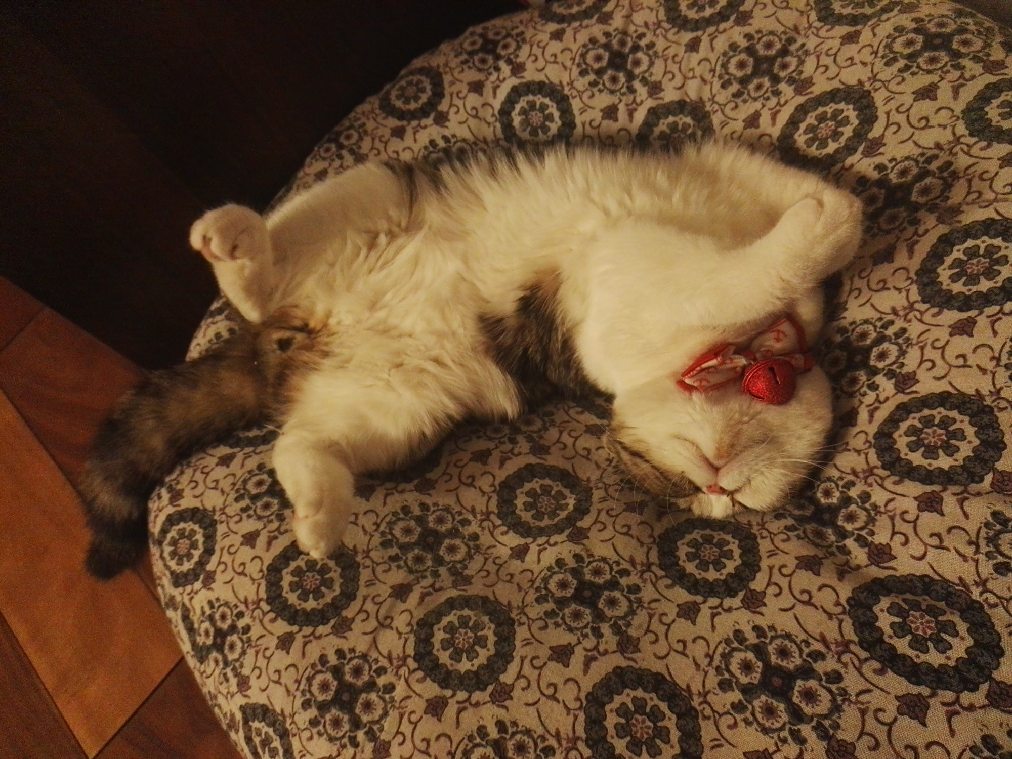 各界关注：养生私密保健销魂的小少妇到底好不好用