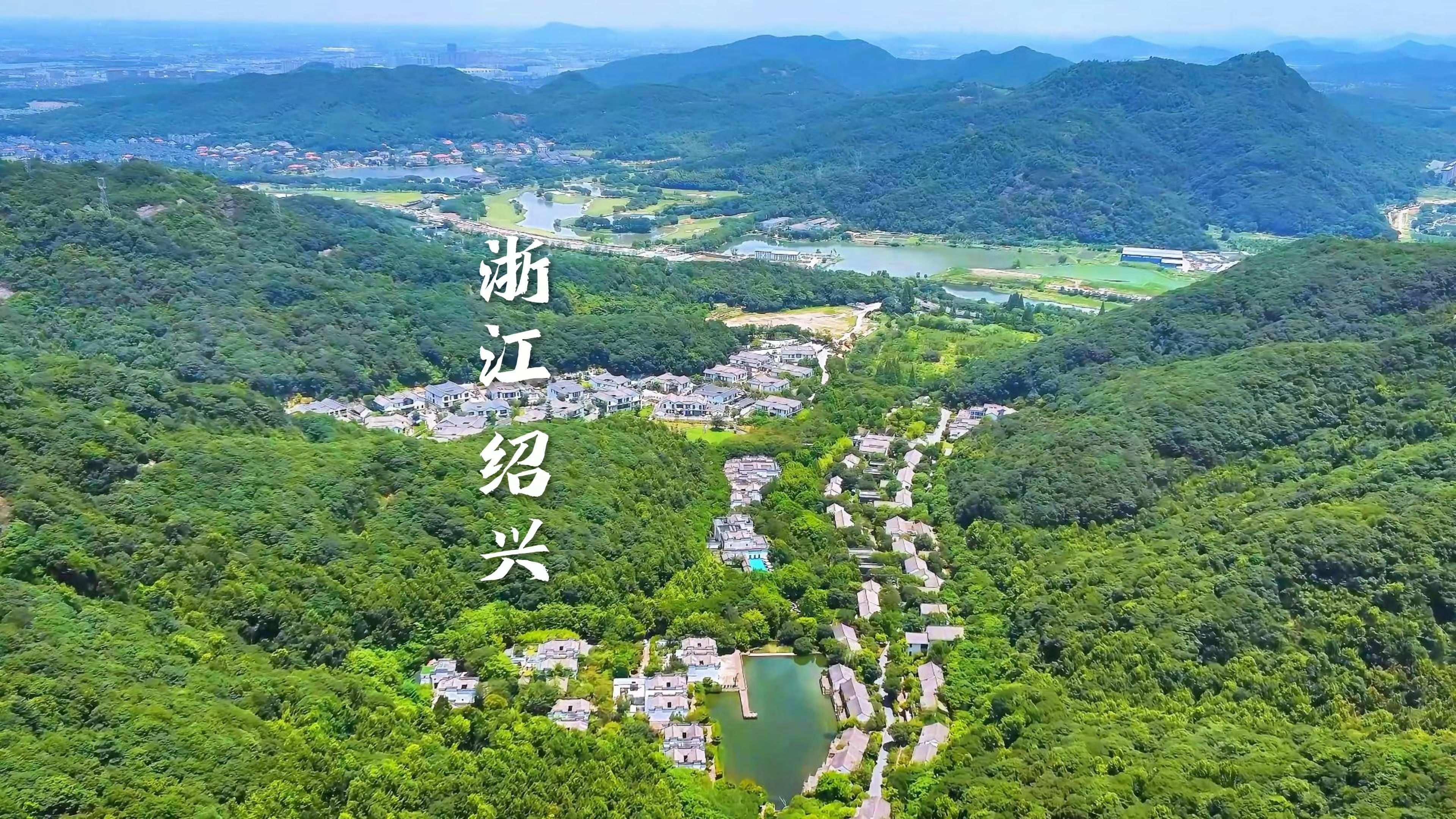 绍兴各区高端外卖与消费券发放最新情况揭秘