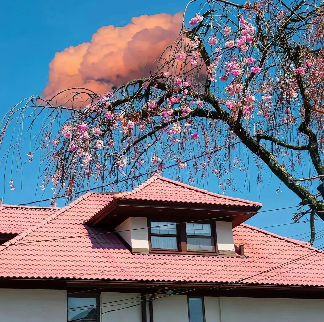 如何用200元3小时二维码省80%成本？_餐饮店获客实战指南