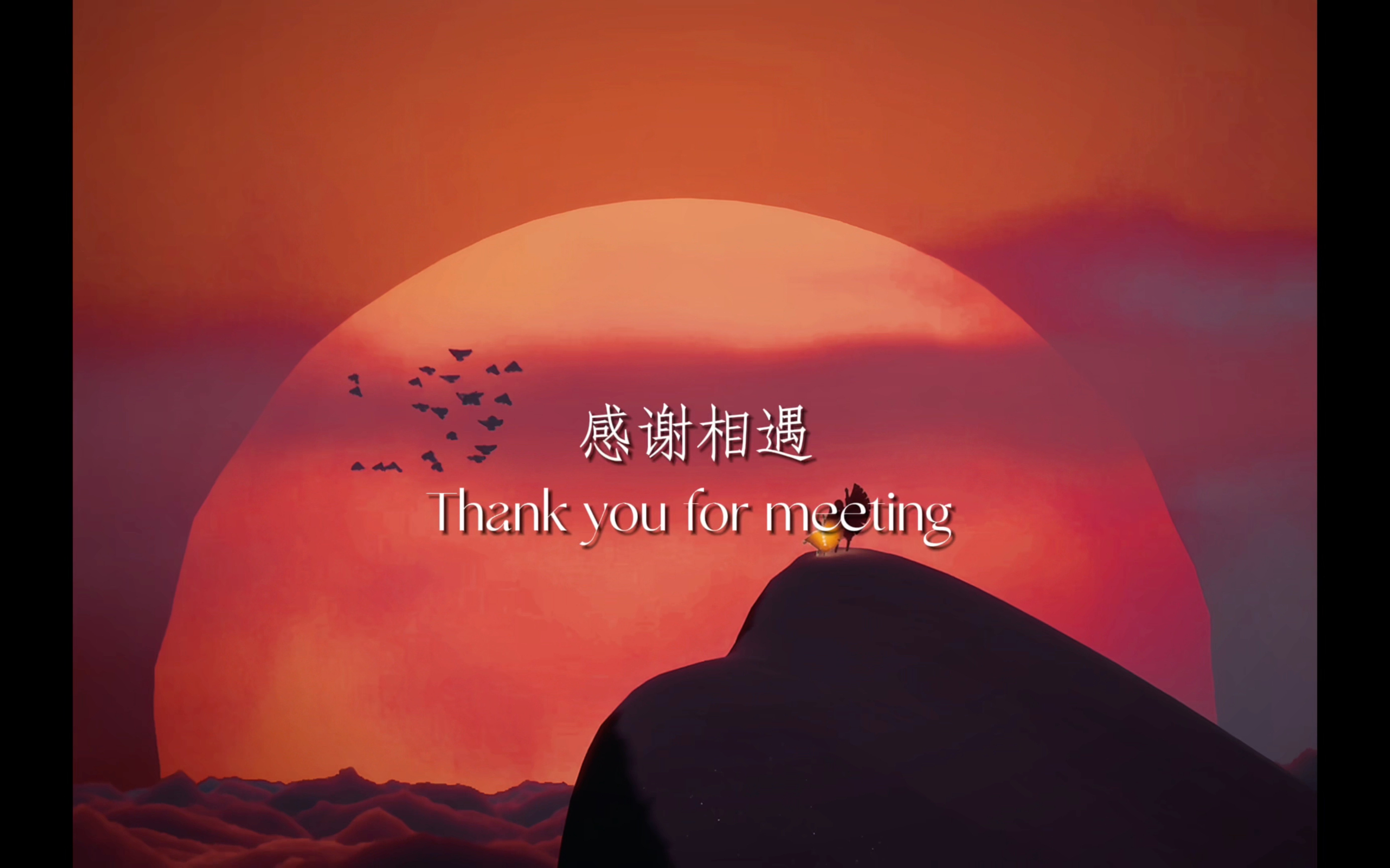 哔哩哔哩社交指南，如何通过共同兴趣高效结识异性