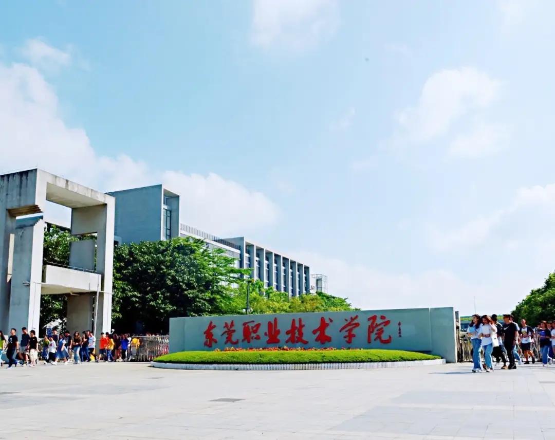 从聊天窗口到生活舞台：解码东营东职女生的微信社交法则