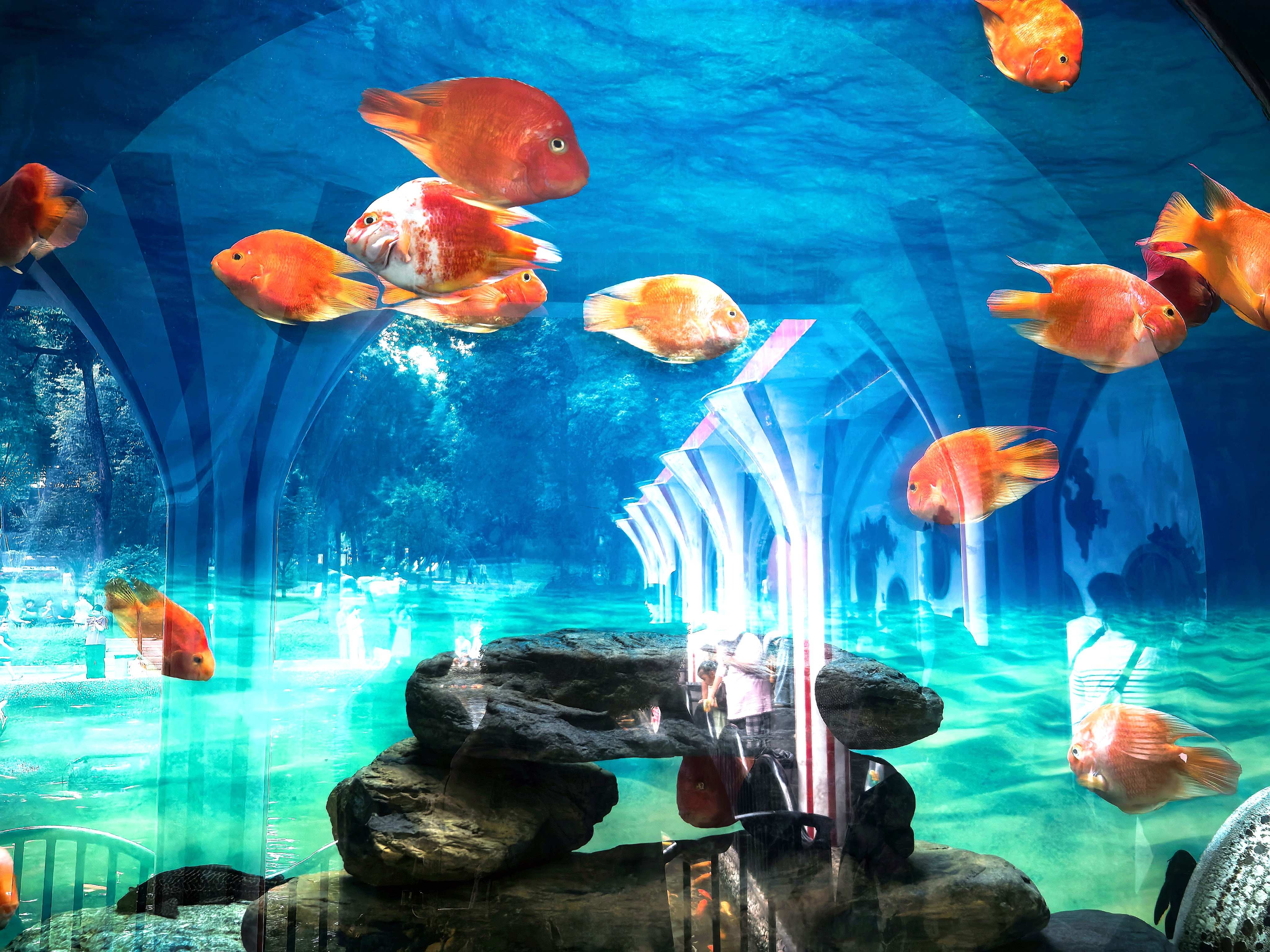 连云港步行街消费多少钱一次，连云港逛街去哪儿好