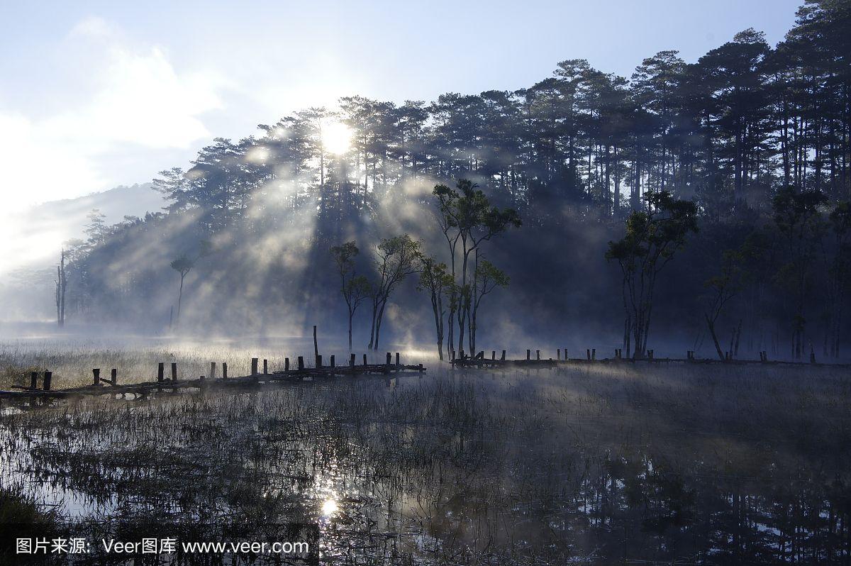 巴中全套也是一次吗？四川对浙江人免费的景点和其他实用信息全解析