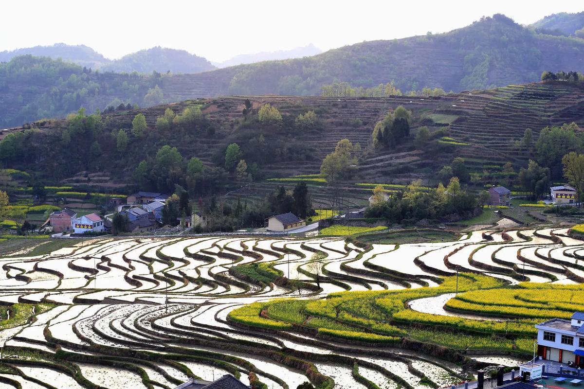 勉县学生如何快速获取靠谱快餐联系方式