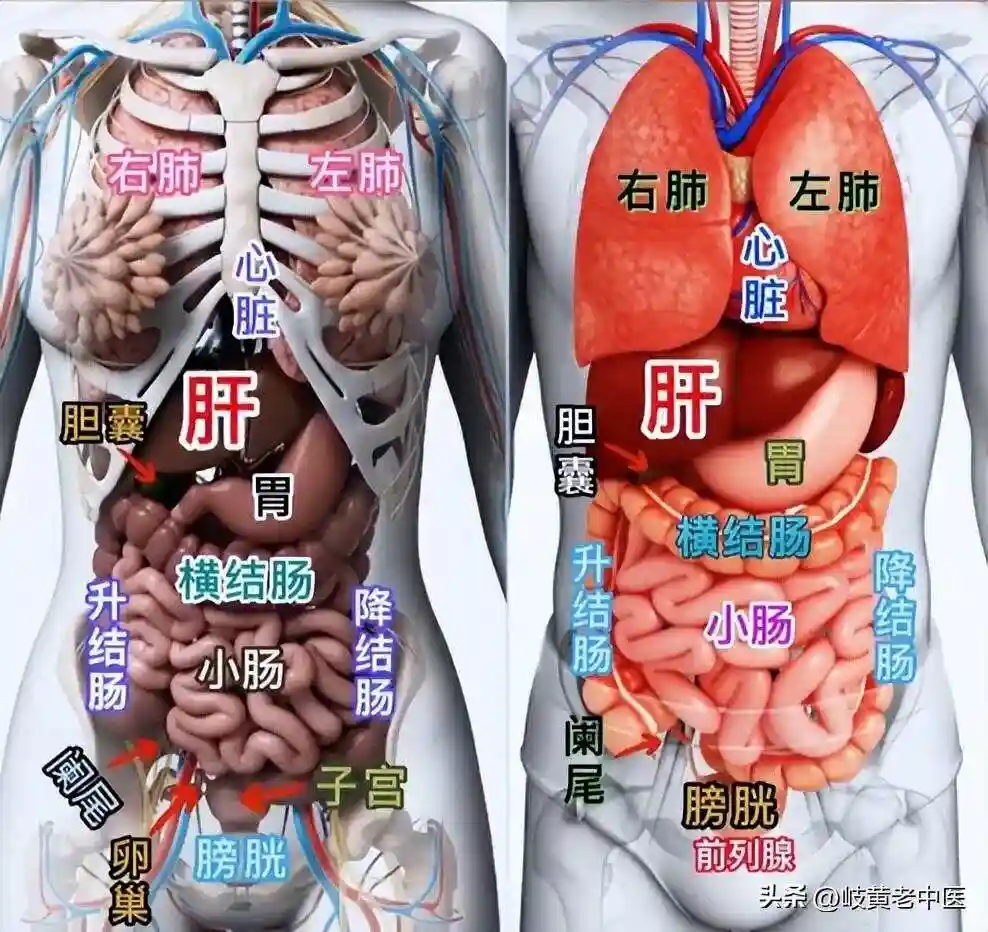 儋州小红书约茶暗号