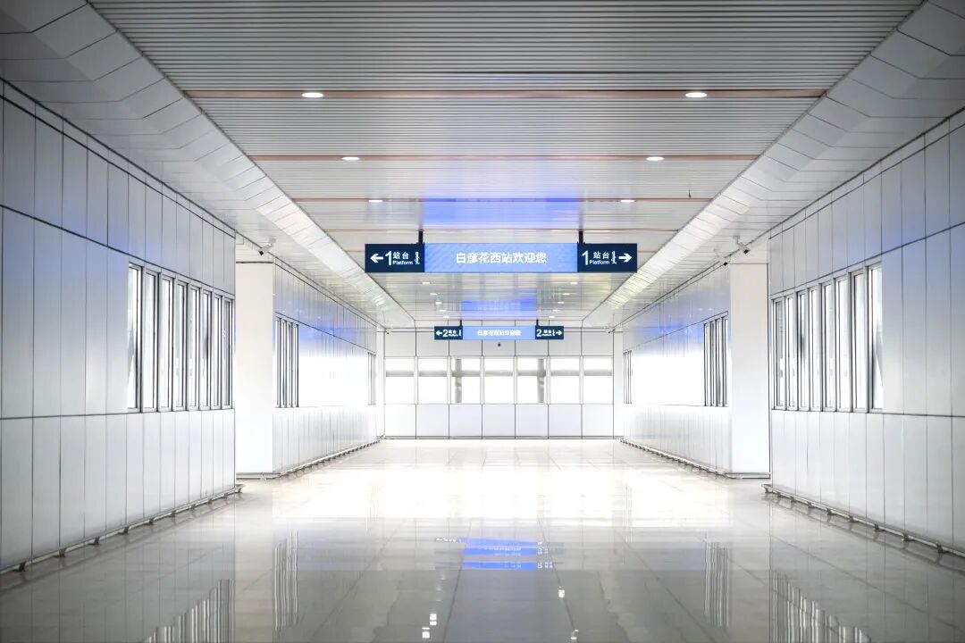 广东qm论坛新站注册指南与深度分析：新站快速起步全攻略