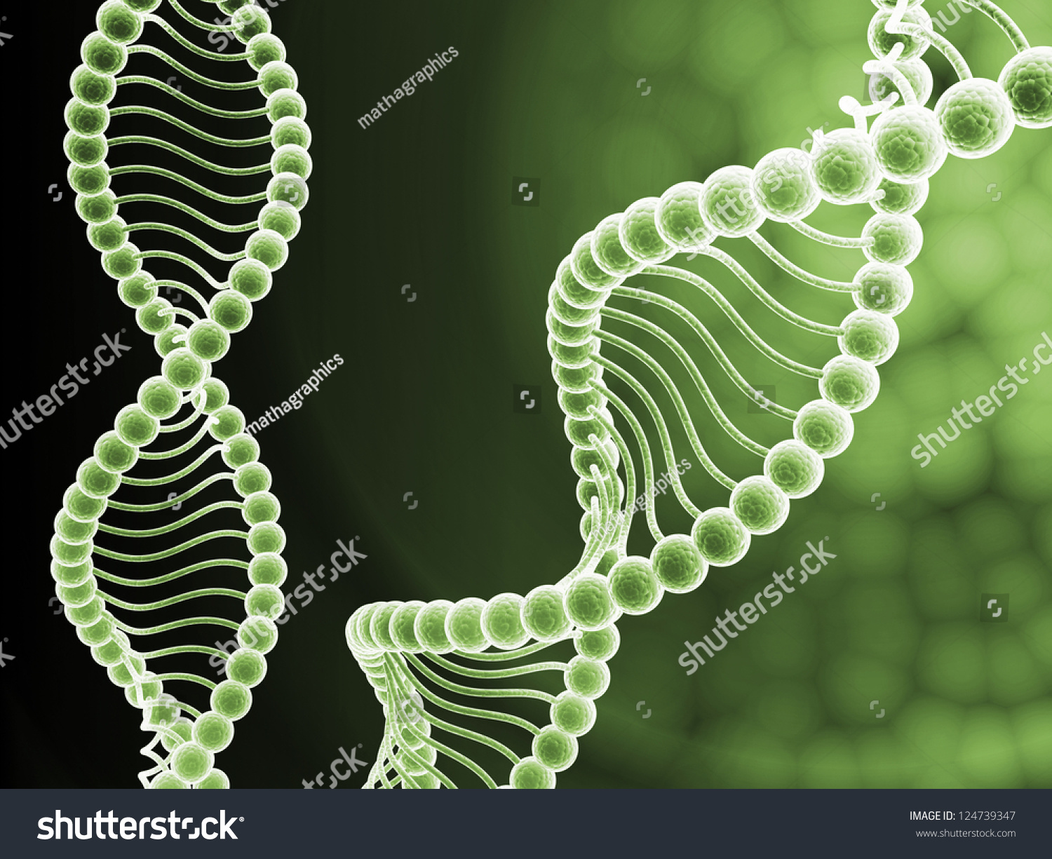 DNA的真正含义与多重解读，值得你了解的DNA知识