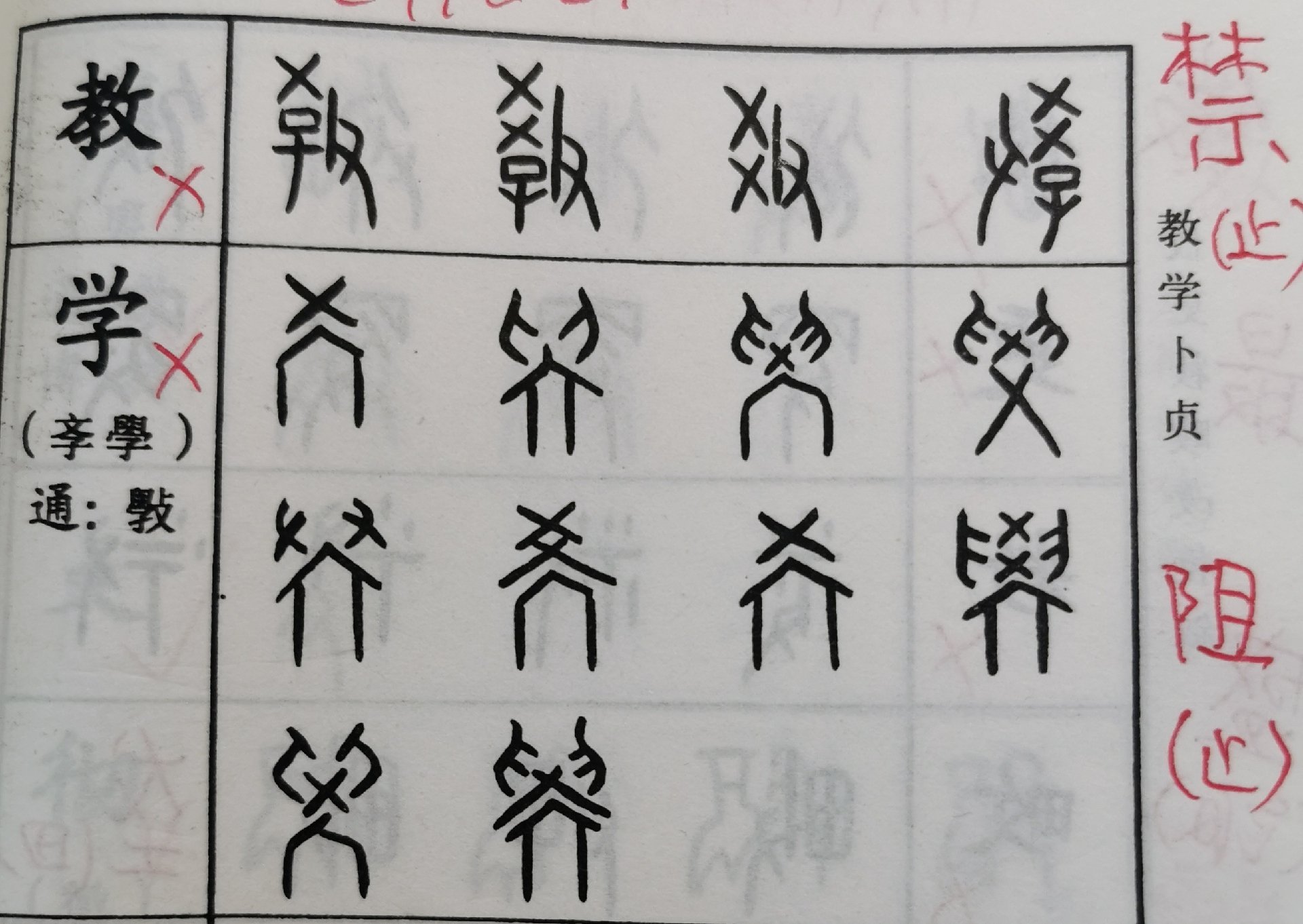 一场重大政治风波引发了关注污污污40@分钟到底是什么？实测解析与日常应用指南
