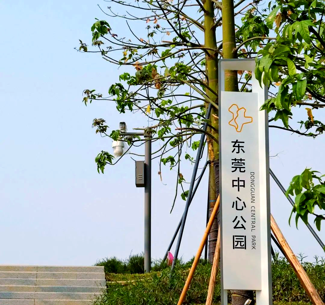 东莞政务服务流程全面解析：从标准化改革到市民便利体验大揭秘