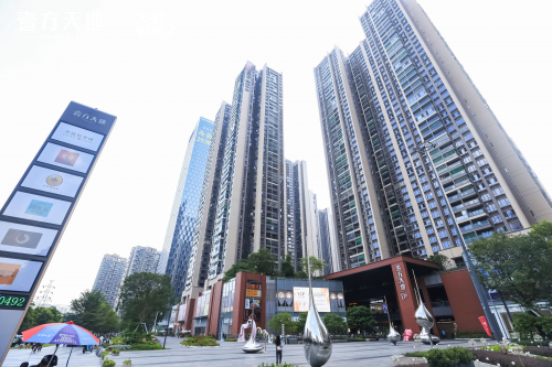 广州学生品茶工作室高端推荐与茶艺职场比较解析