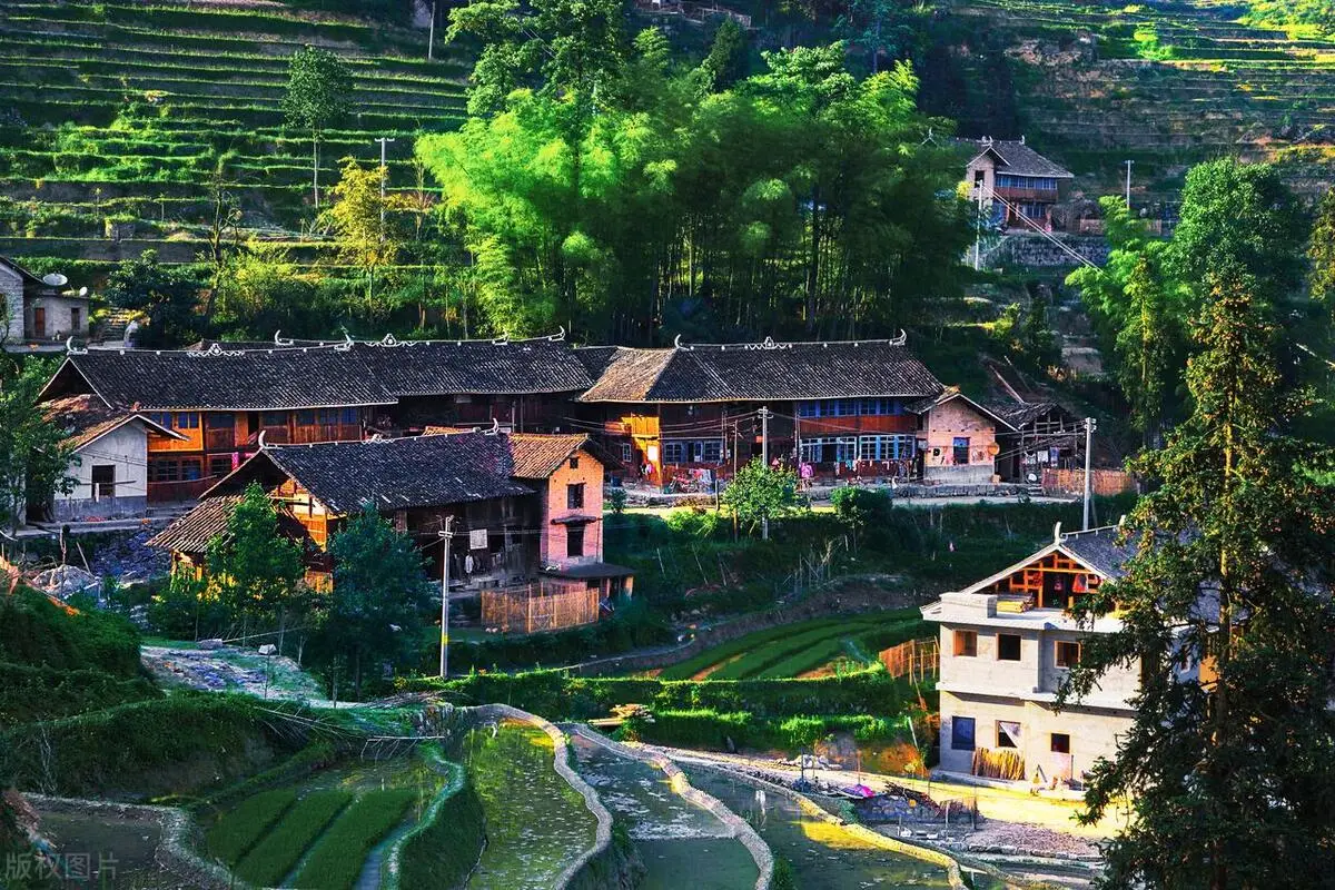 娄底品茶上课工作室