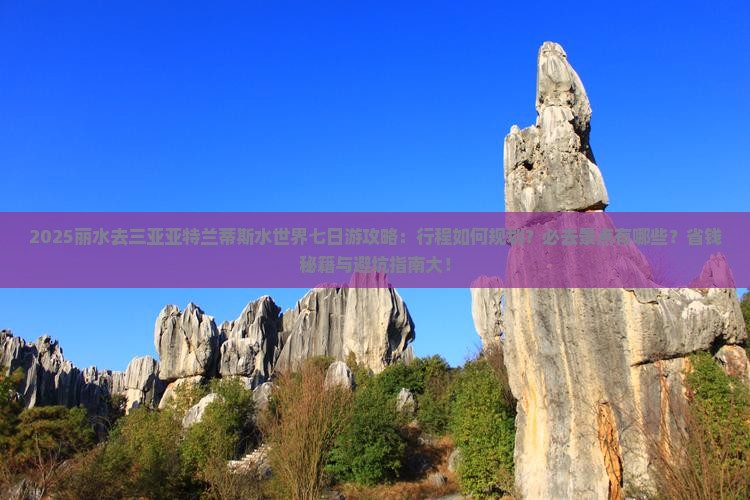 丽水怎么约茶暗号