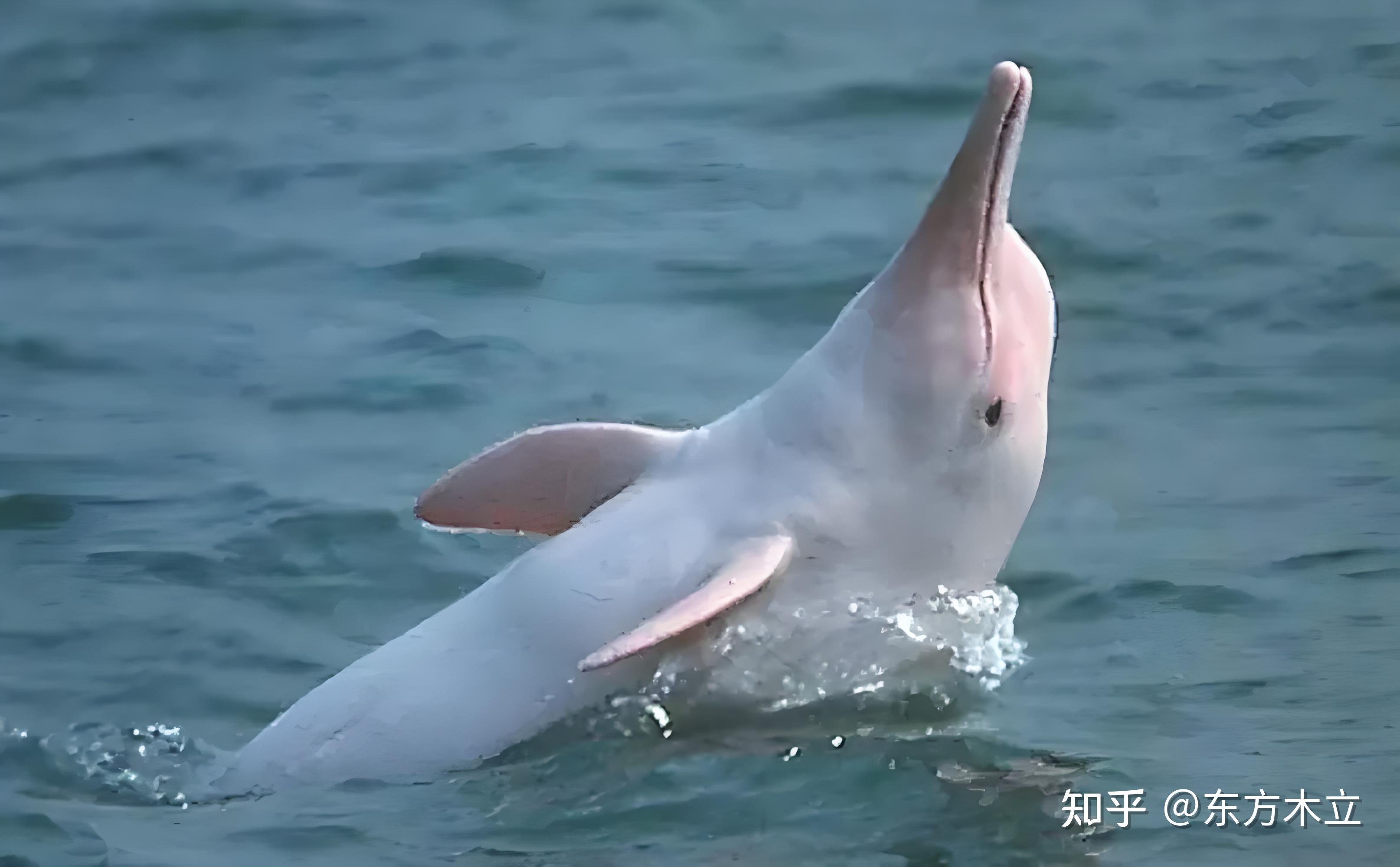 济宁初中生一小时50元