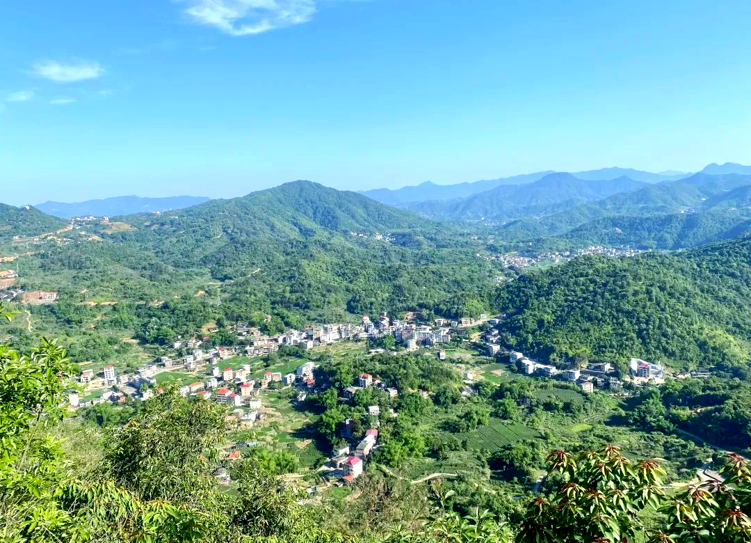 大寺龙居200元快餐体验全解析，性价比与品质如何兼得