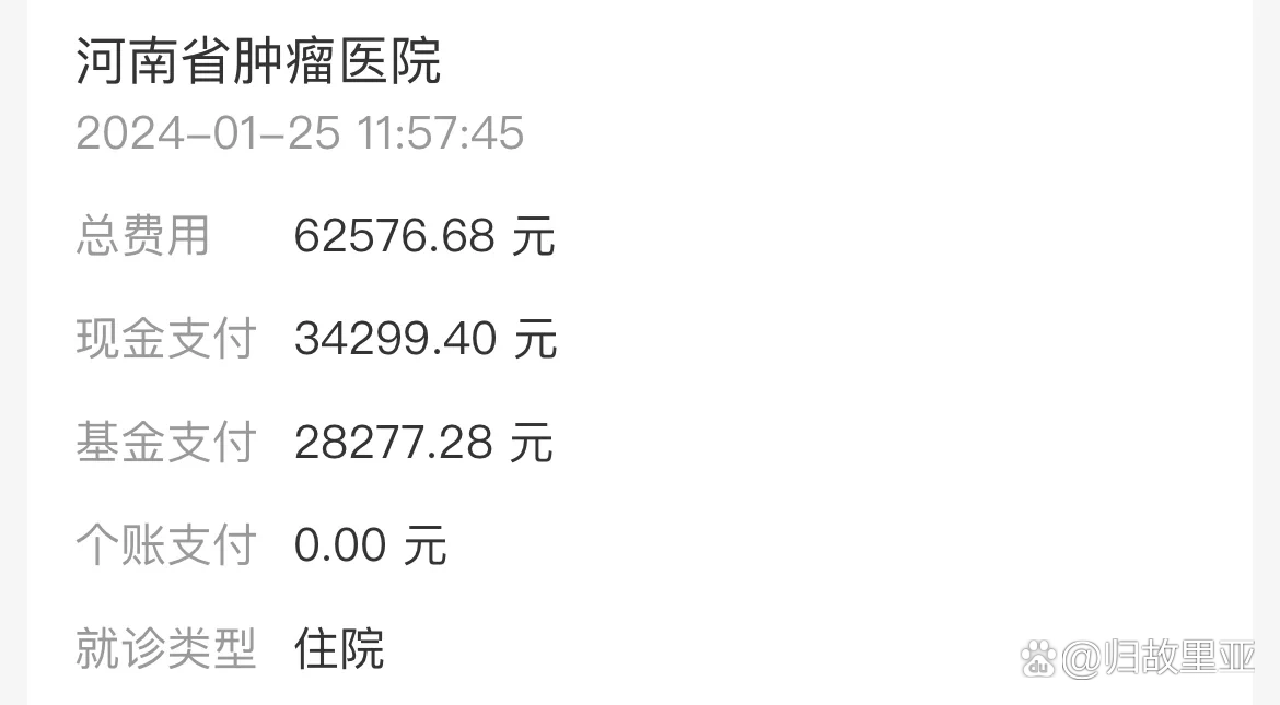 200块能买到哪些超值体验？这份攻略告诉你