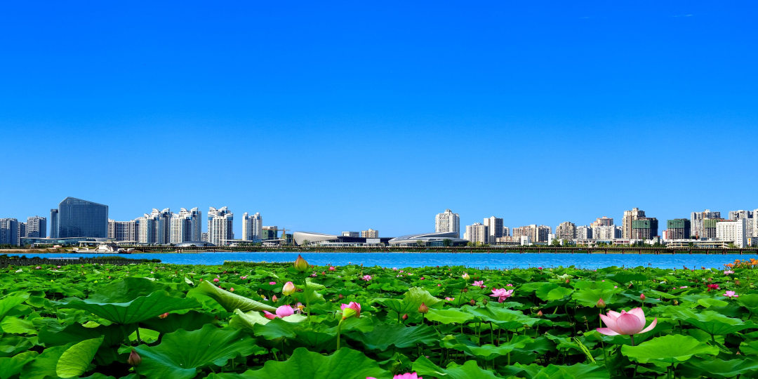 遂宁高端大选海选实体店