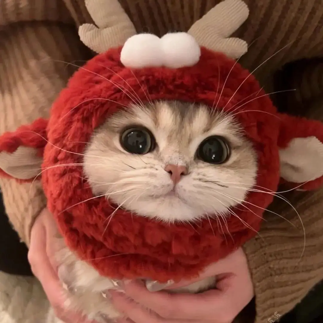 画漫画人物头像教程