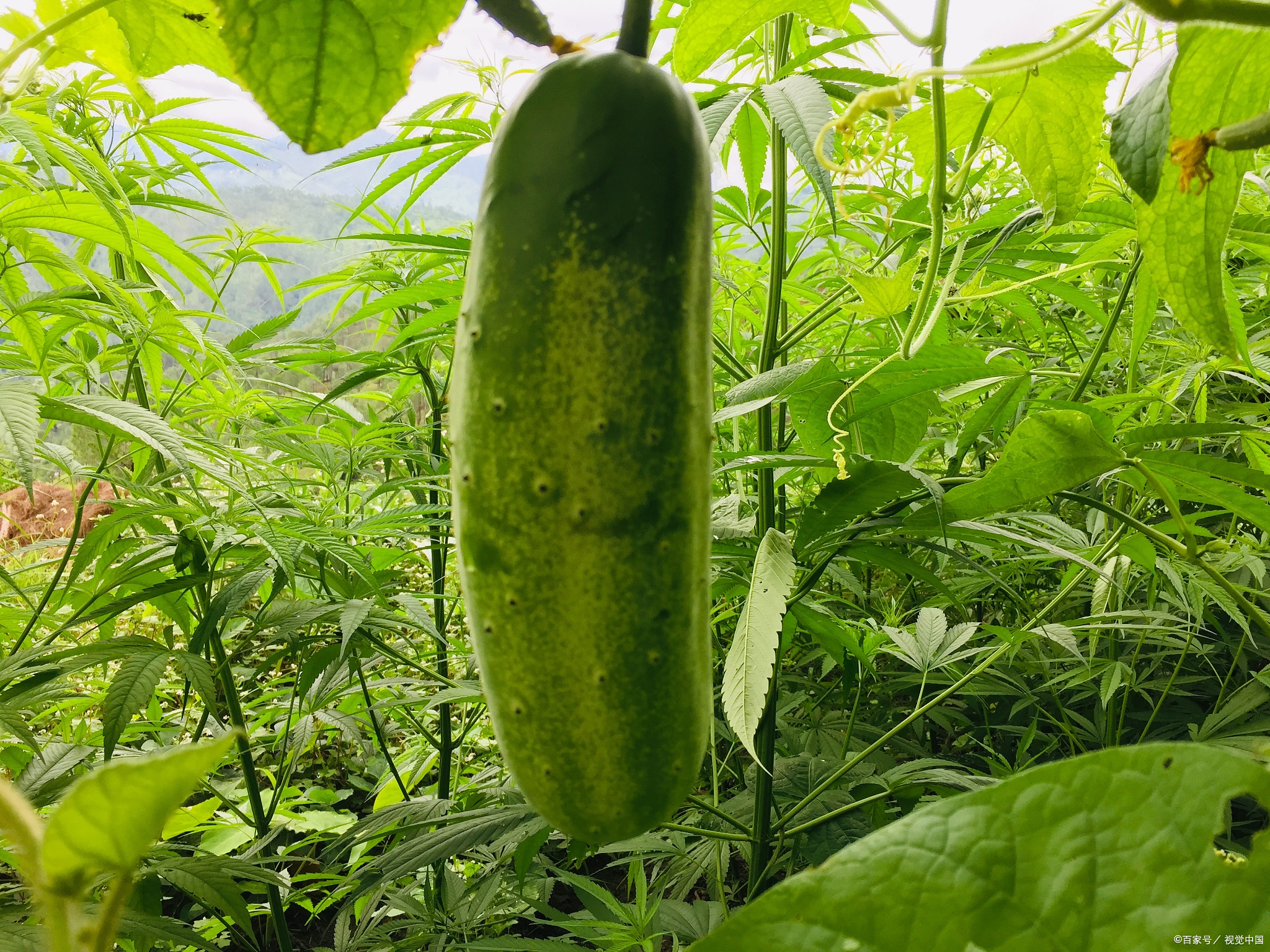 寻找附近兴趣小组的实用指南