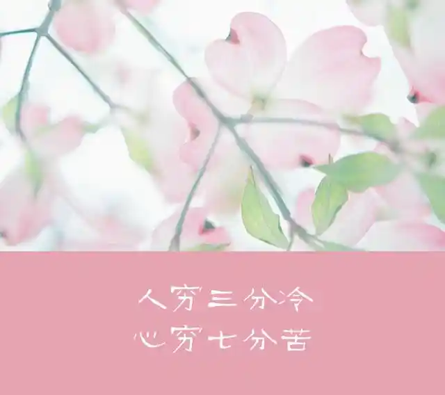 全国空降免费入口真的靠谱吗？