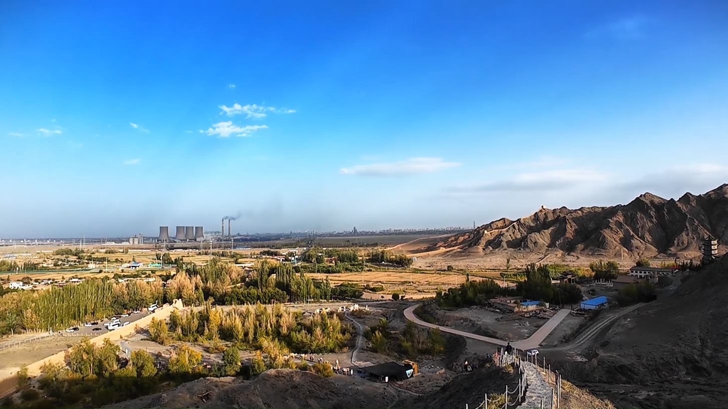 嘉峪关新茶上市美女预约