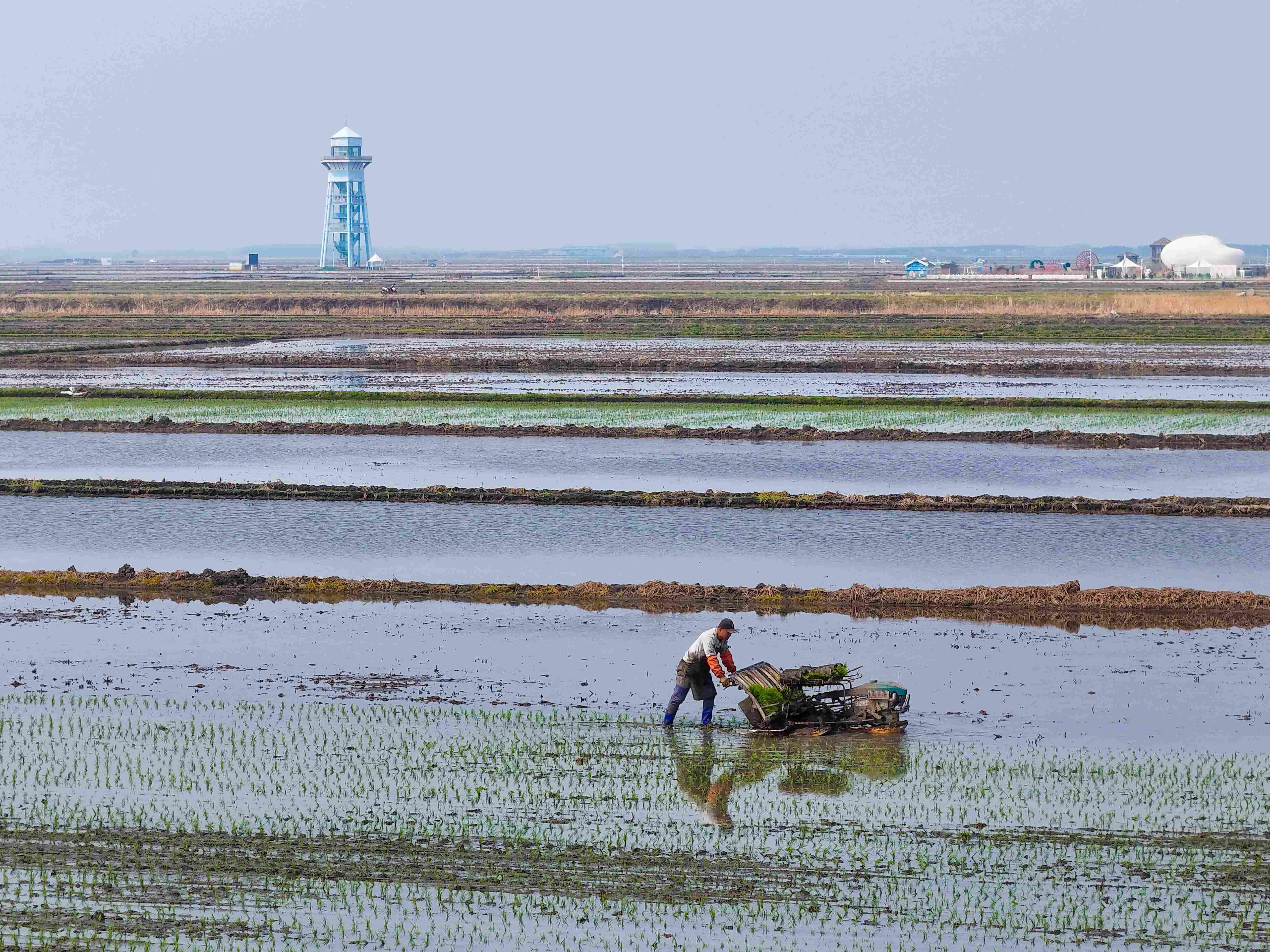 富锦品茶工作室私人定制体验