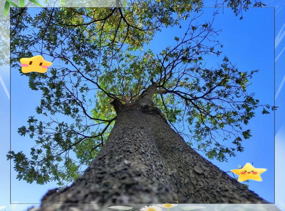 动静追踪：昆明大树营哪里有服务多少钱？2025年详细解答与避坑指南