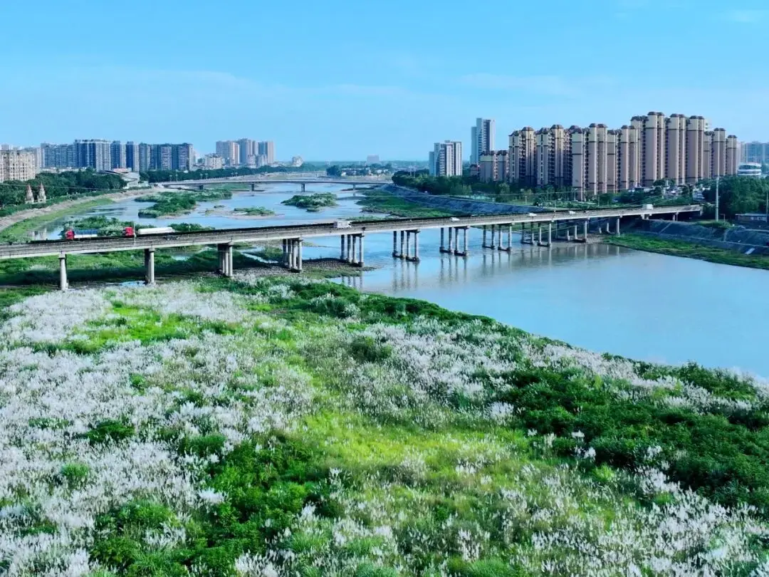 危情提示：东莞红灯区一条街叫什么