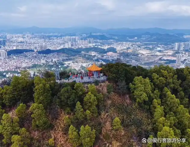 专家解读：惠州淡水论坛2025