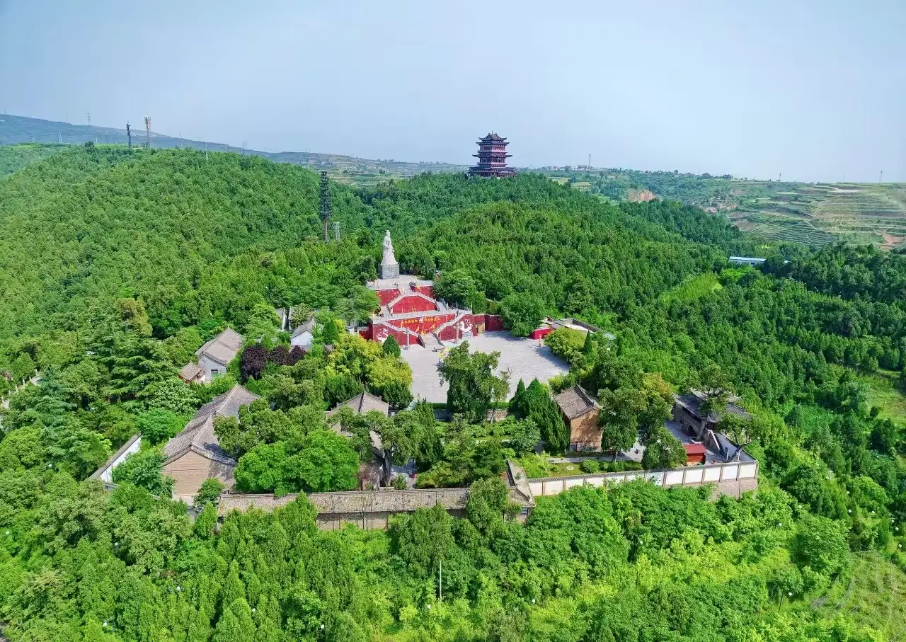 铜川如何辨别附近是否有特殊的茶叶资源