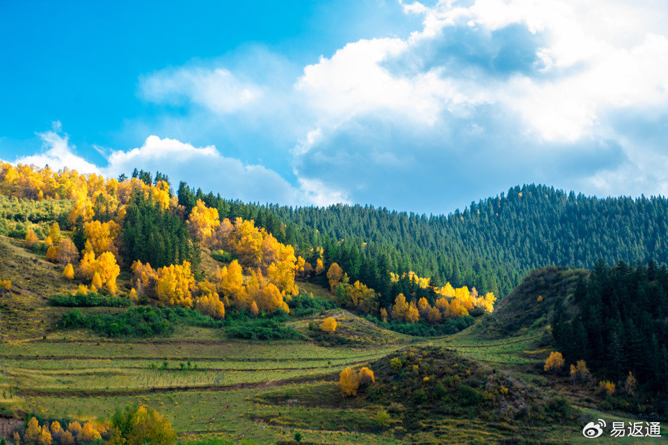 海东酒店里怎么叫妹子