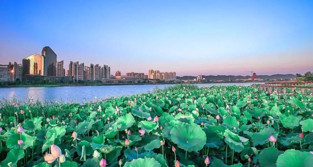 遂宁高端大选海选实体店