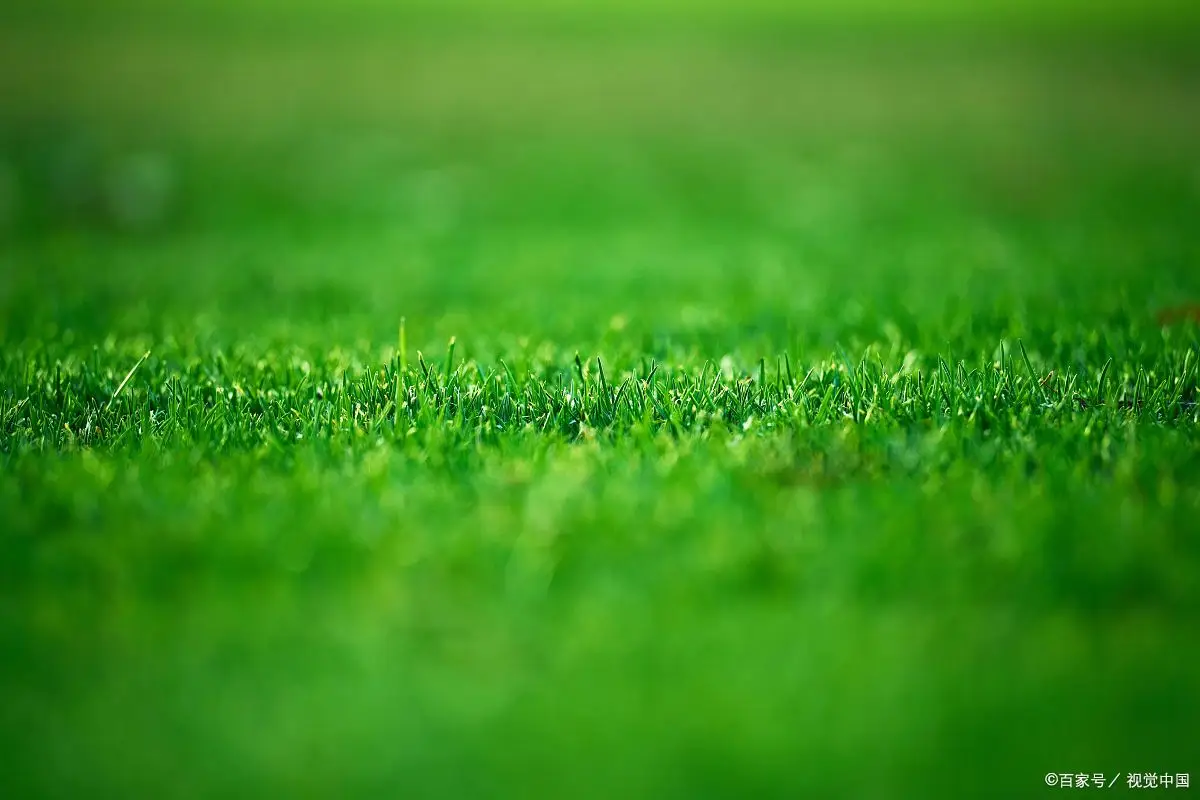 当隐形眼镜开始免费：揭秘'月抛不要钱'背后的三重陷阱