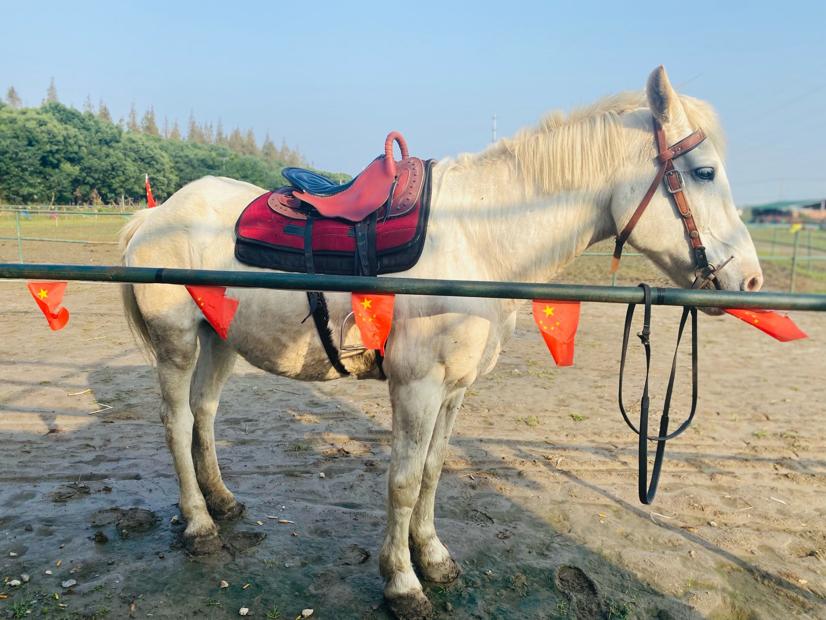 政府回应：吴江横扇小巷子50元玩一下展真实体验与详细攻略