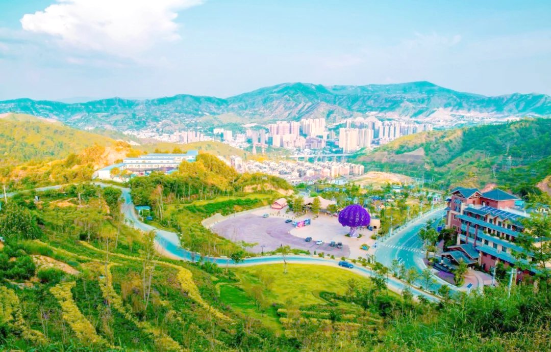 攀枝花茶园快餐3小时包含哪些服务