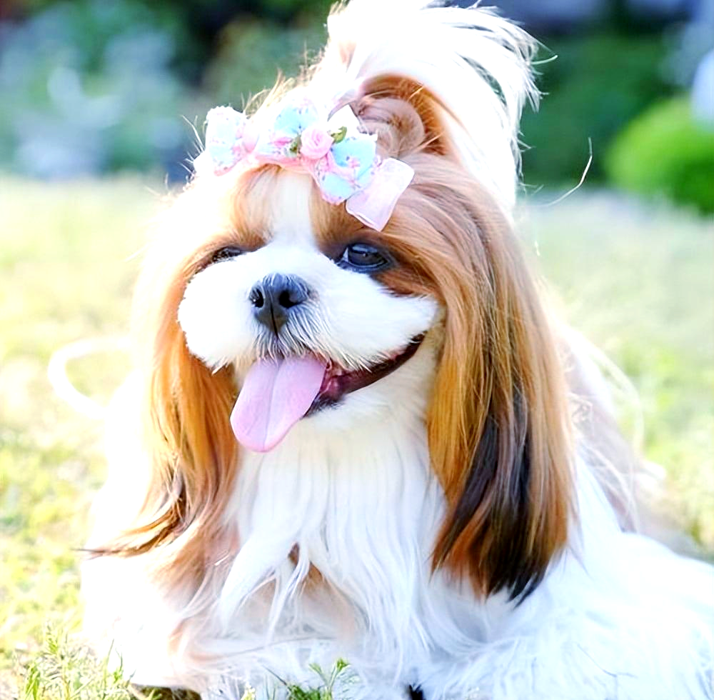 广州夜生活美女聚集地揭秘及高颜值商圈大盘点