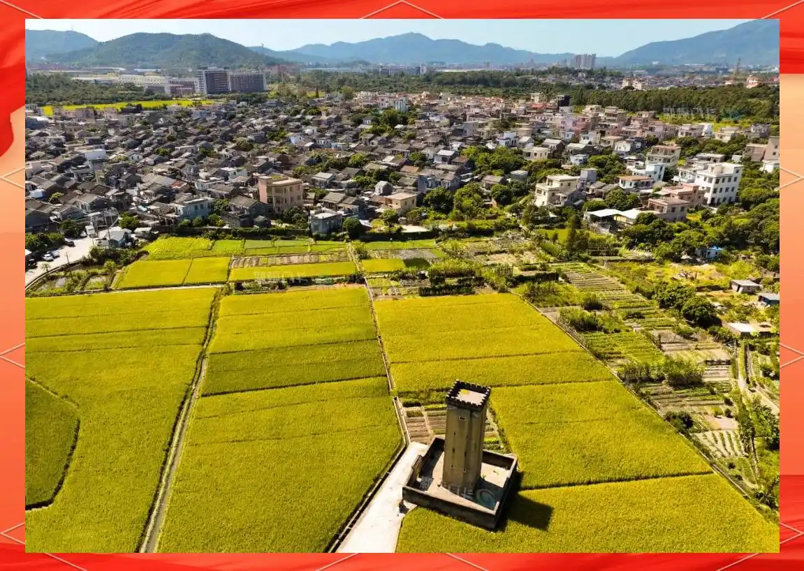 详细解读：斗门白蕉镇哪里有小巷子？在地人亲访，真实街巷风貌与闲逛心得