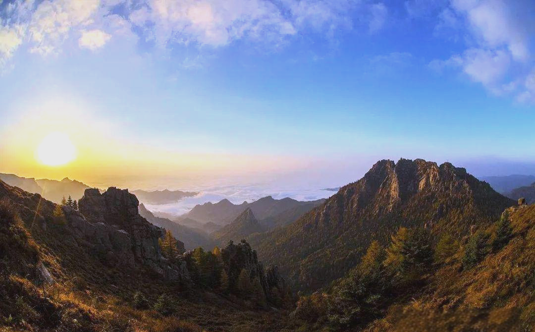 不容错过的新闻：遵义新蒲大学城暗号怎么用？详细使用方法与步骤解析