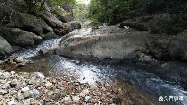 坪山坑梓老街妹子去哪了 一场跨越十年的城市迁徙备忘录解读