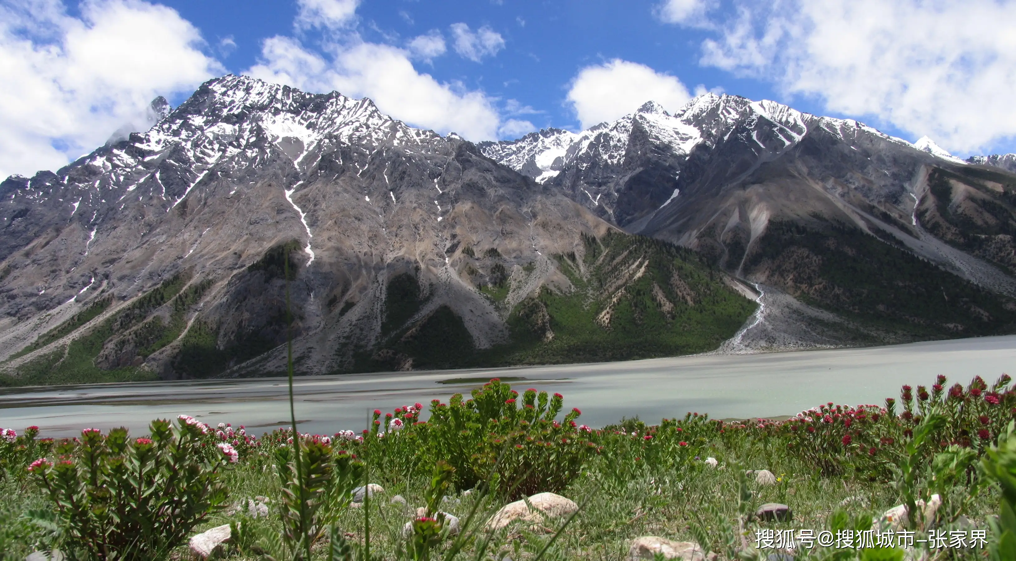 林芝500一次的女生是不是有点贵了呢