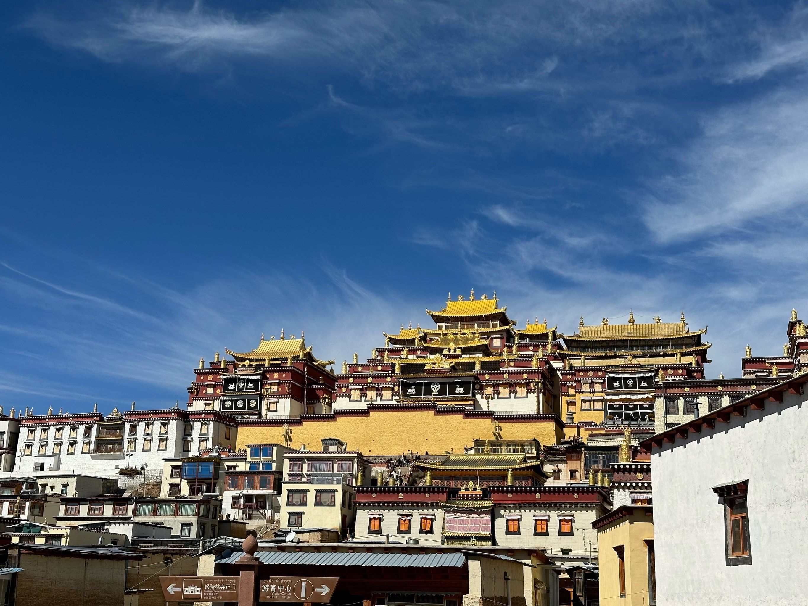 香格里拉网上预约高端模特