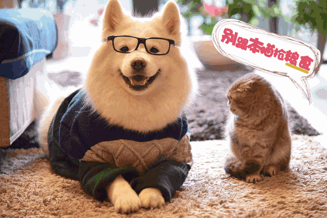 全国空降同城免费服务如何颠覆传统消费模式？这3个底层逻辑说透了